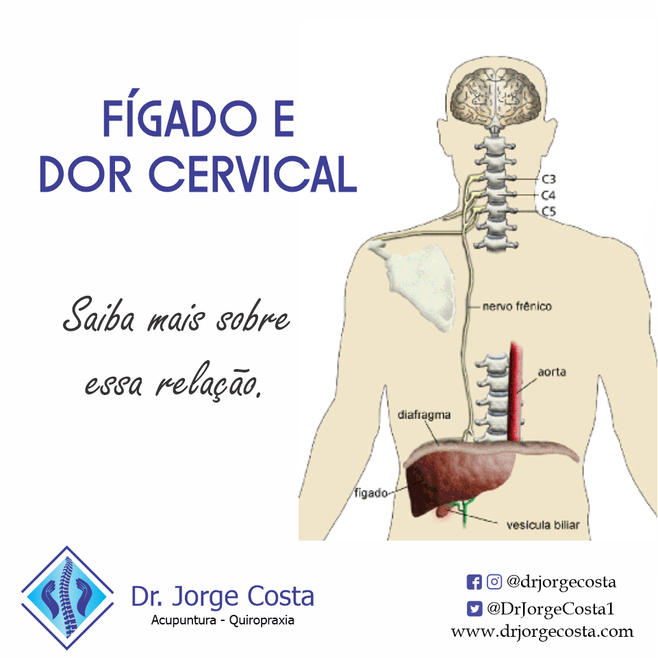Figado E Dor Cervical